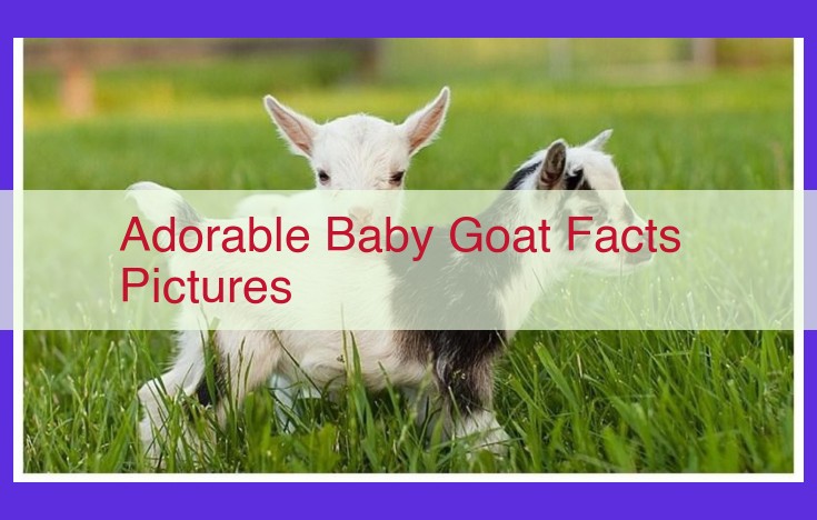 Unlock the Secrets of Raising Irresistible Baby Goats: A Comprehensive Guide