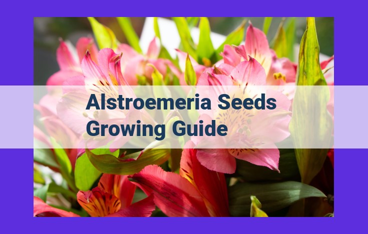 Ultimate Alstroemeria Seed Growing Guide: Cultivate Vibrant Flowers from Scratch