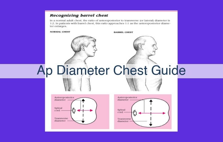 AP Diameter Chest Guide: Essential for Accurate Radiographic Interpretation