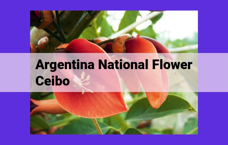 Ceibo: Argentina's National Flower of Courage, Strength, and Beauty