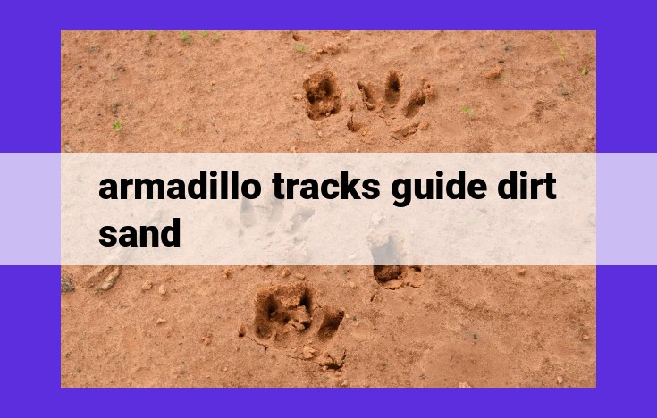 Unlock the Secrets of Armadillo Tracks: A Guide to Unraveling Their Behavior and Presence