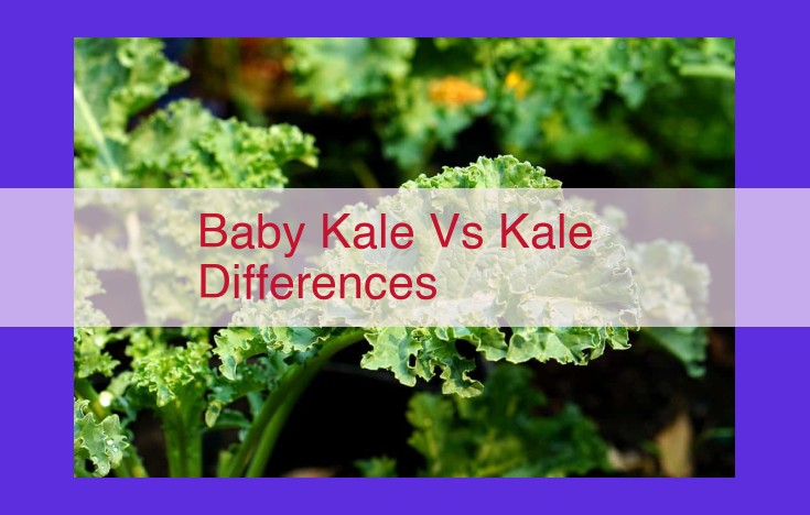 Baby vs Regular Kale: Taste, Nutrition, and Culinary Applications