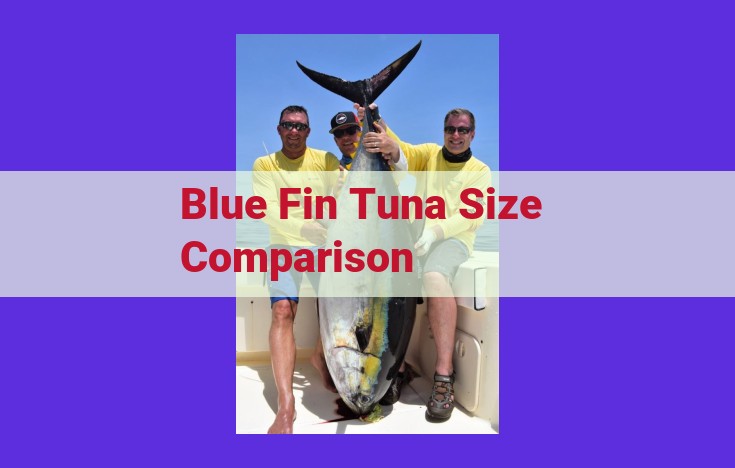 Comprehensive Guide to Blue Fin Tuna Size: Factors Influencing Growth and Variations
