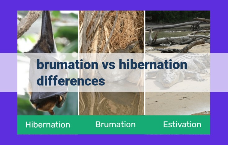 Brumation vs. Hibernation: Unraveling the Differences Between Animal Dormancy States for SEO Optimization