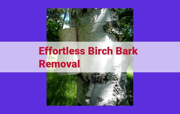 Effortless Birch Bark Removal: Optimize Harvesting Techniques for Tree Health and Bark Quality