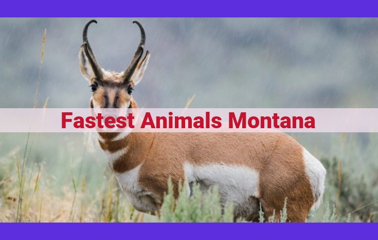 Montana's Lightning-Fast Creatures: A Guide to the State's Swiftest Wildlife
