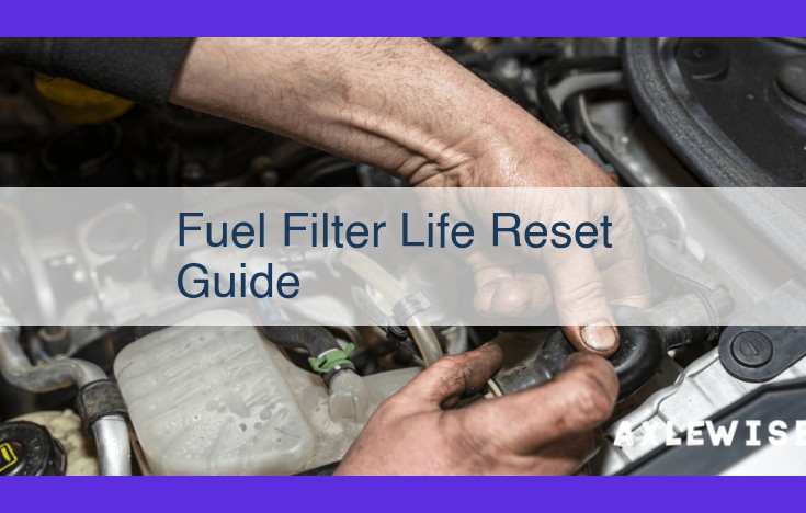 Ultimate Guide to Fuel Filter Maintenance and Replacement: Maximizing Vehicle Performance