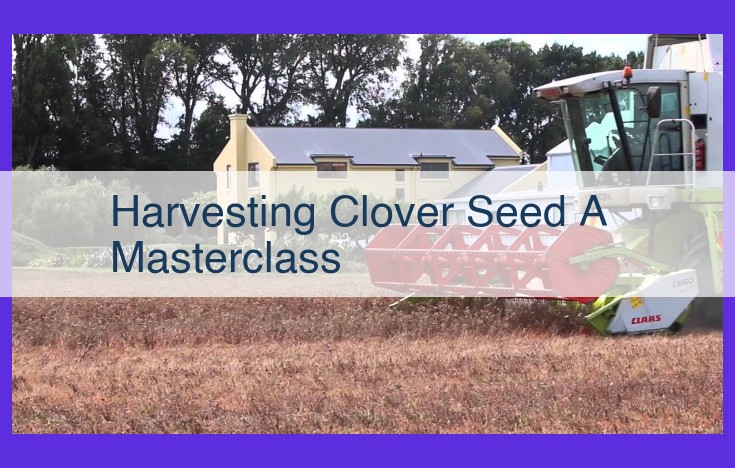 Unveiling the Secrets of Successful Clover Seed Harvesting: A Comprehensive Guide to Maximize Yield and Preserve Seed Quality