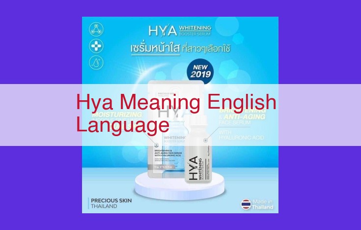 Overcoming Translation Challenges: Bridging the Gap Between Hya and English for Effective Communication