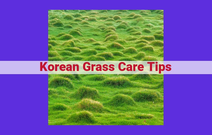 A Comprehensive Guide to Korean Grass Care: Techniques for a Healthy Lawn in Korea's Climate