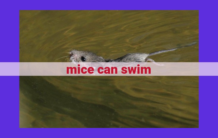 Mice: Unveiling Their Aquatic Prowess and Adaptive Strategies for Survival