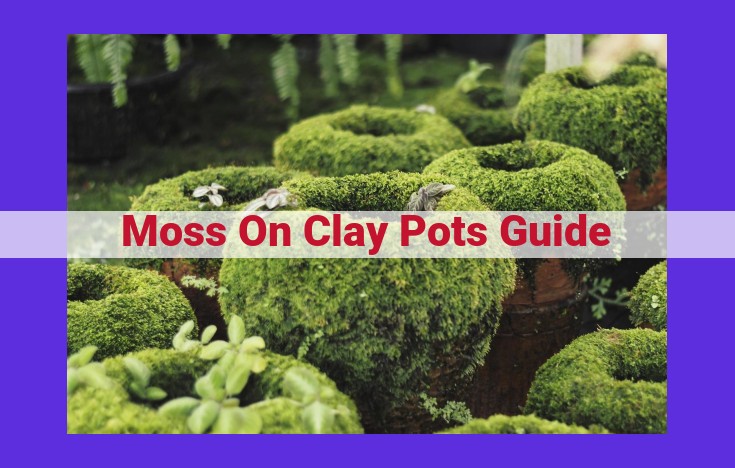 The Ultimate Guide to Thriving Moss Gardens in Clay Pots: Tips, Techniques, and Troubleshooting
