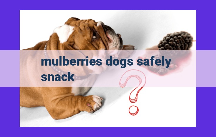 Mulberries: A Nutritious and Safe Snack for Canine Companions | Guide for Dog Owners