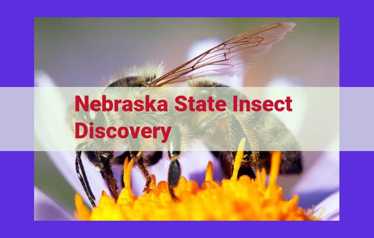 Nebraska's State Butterfly: Exploring Symbolism, Conservation, and Educational Significance