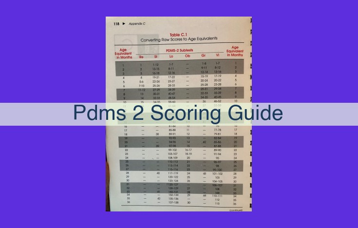 PDMS 2 Scoring Guide: A Comprehensive Framework for Evaluating PDMS 2 Images