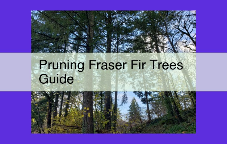 Expert Pruning Guide for Fraser Fir Trees: Enhance Health, Aesthetics, and Safety