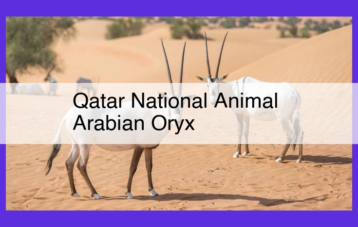 Arabian Oryx: Qatar's National Animal with Cultural Significance and Conservation Success