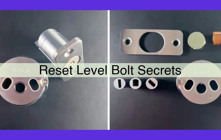 Enhancing Data Integrity and Protection with Reset Levels and Bolt Secrets
