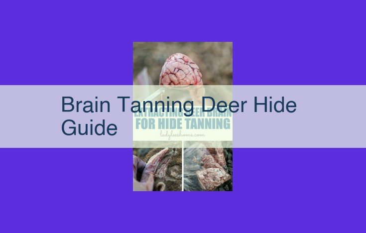 All-Inclusive Guide to Brain Tanning Deer Hides: From Prep to Preservation