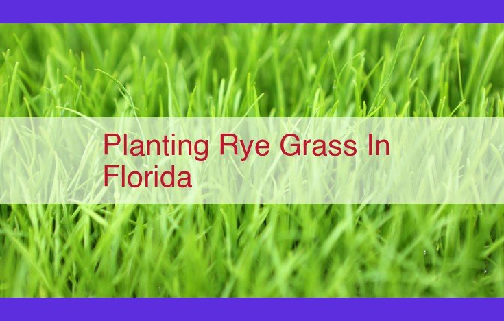 Florida Ryegrass Planting Guide: A Comprehensive Guide to Soil Preparation, Selection, Planting, and Care