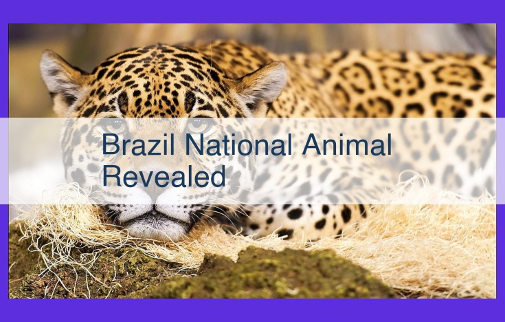 Jaguar: Brazil's National Symbol, Its Endangered Status and Conservation Efforts