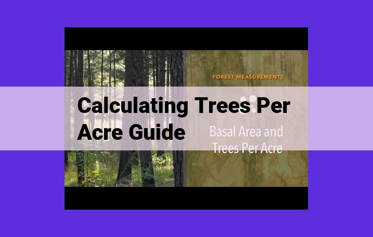 Calculate Trees per Acre: A Comprehensive Guide for Forest Management