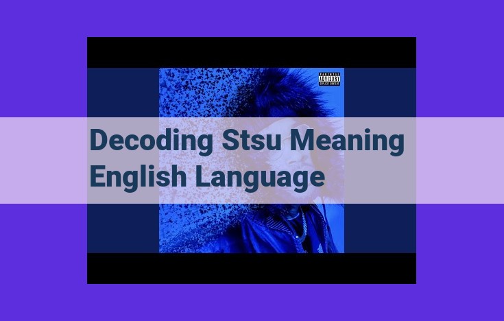 Unlocking the Meaning of STS-U Codes: Essential Decoding for Efficient Communication and Data Management