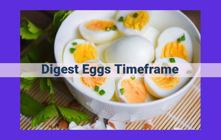 Egg Digestion Time: Factors Influencing Digestion and Tips for Optimal Health