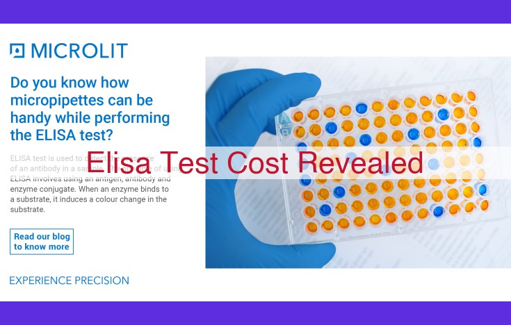 Unveiling the Cost Dynamics of ELISA Testing: Factors that Drive Price Variations
