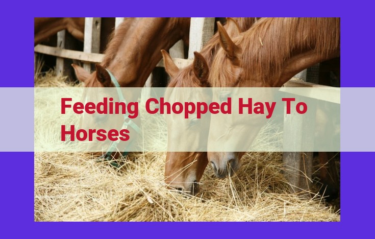 Chopped Hay: Enhanced Nutrition for Horses