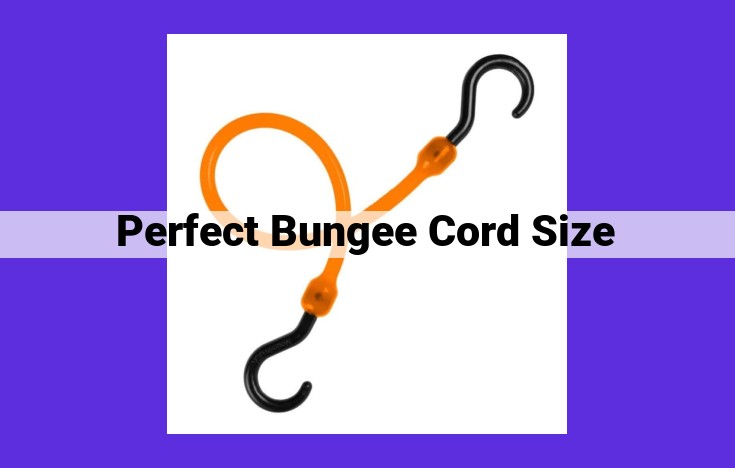 How to Choose the Perfect Bungee Cord Size: A Comprehensive Guide to Elasticity, Length, and More