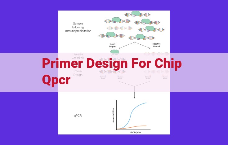 Optimize Chip qPCR Primer Design for Enhanced Amplification Performance