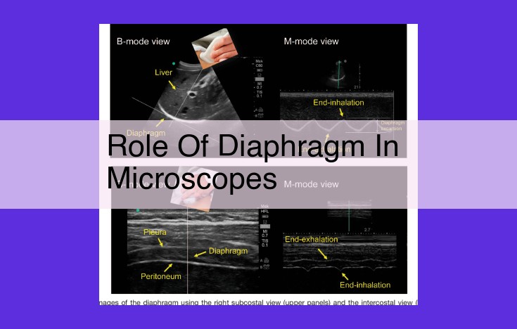 Diaphragm in Microscopy: Enhancing Image Quality through Light Control