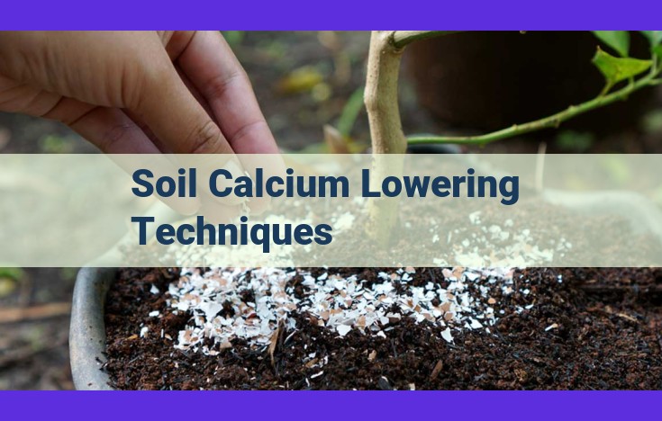 5 Effective Soil Calcium Lowering Techniques for Agricultural Success