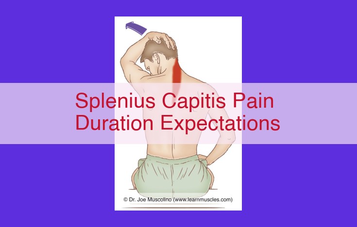 Splenius Capitis Pain: Understanding Duration Expectations for Effective Pain Management