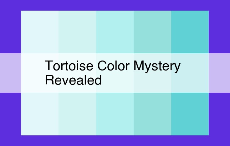Unveiling the Genetic Enigma: Color Patterns in Tortoiseshell Tortoises and Calico Cats