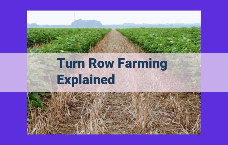 Unveiling Turn Row Farming: A Path to Sustainable Agriculture