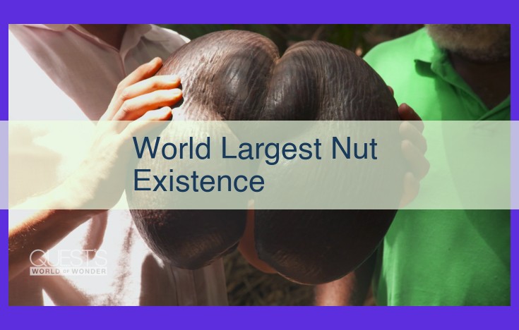 Witness the Enigma: Meet the World's Largest Nut, a Giant of Nature