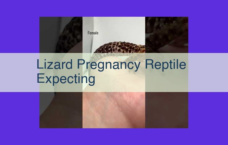 Reptile Pregnancy: Understanding Live Birth and Egg-Laying Strategies